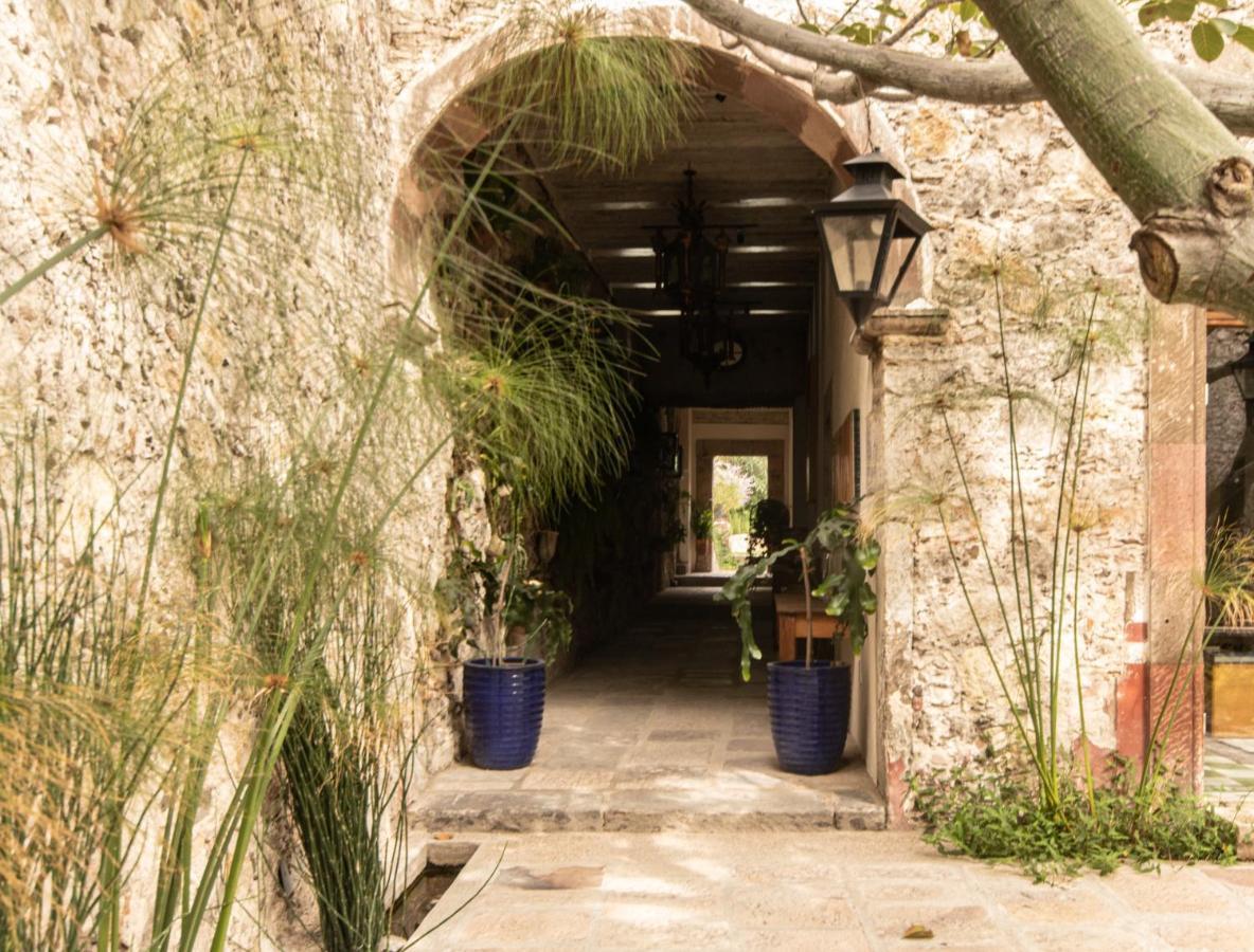 Orchid House San Miguel De Allende Exterior foto