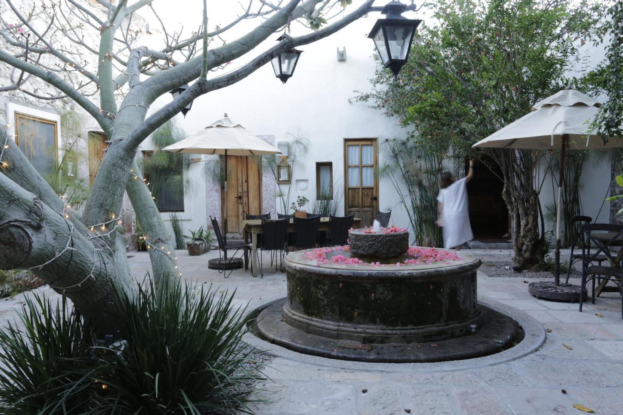 Orchid House San Miguel De Allende Exterior foto