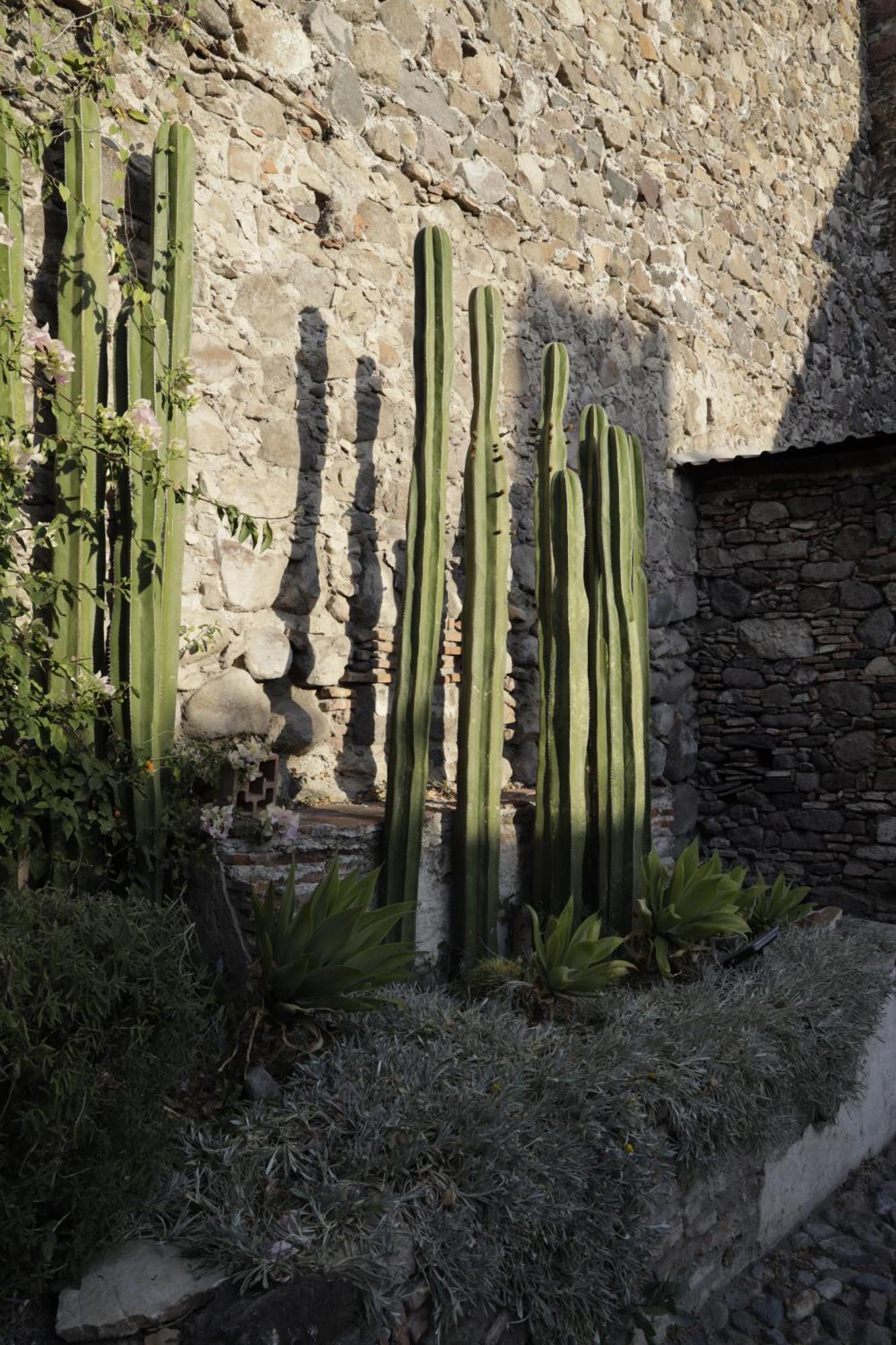 Orchid House San Miguel De Allende Exterior foto